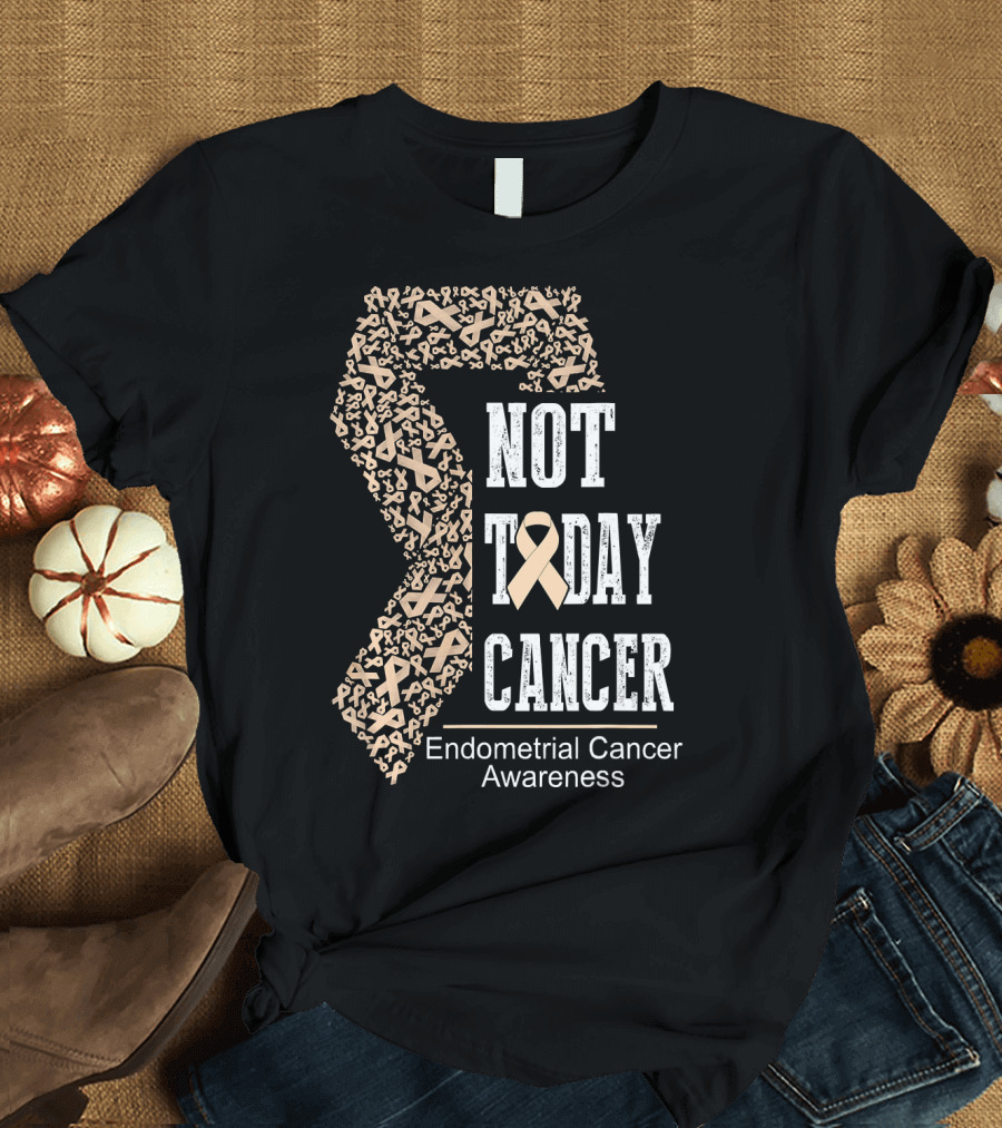 Not Today Cancer Endometrial Cancer Awareness T-Shirt