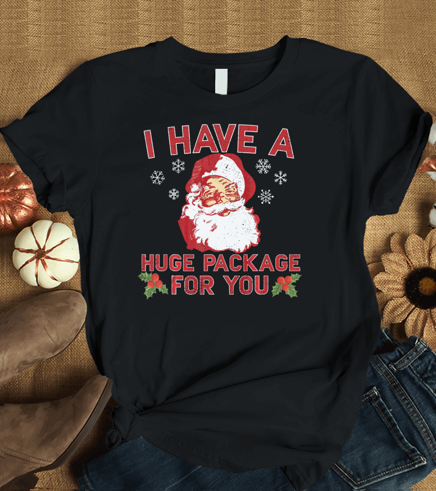 I Have A Huge Package For You Santa Christmas Snowflakes T-Shirt