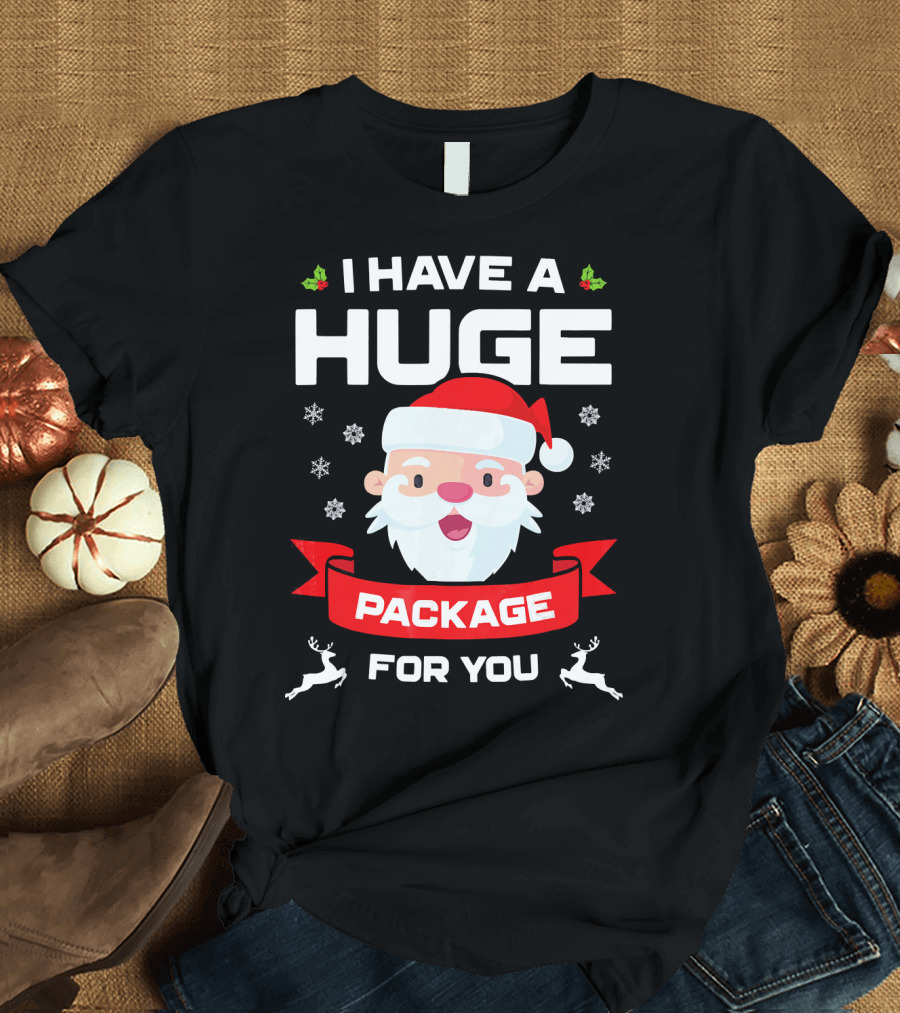 I Have A Huge Package For You Santa Snowflakes Reindeer Christmas T-Shirt